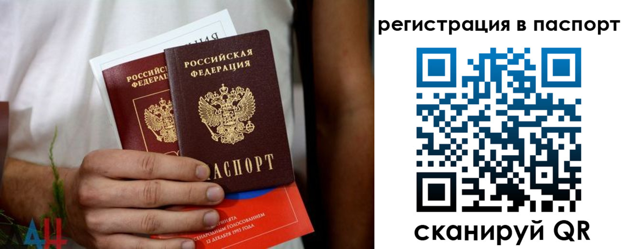 временная регистрация надежно в Видном